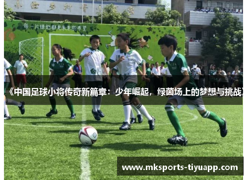 《中国足球小将传奇新篇章：少年崛起，绿茵场上的梦想与挑战》