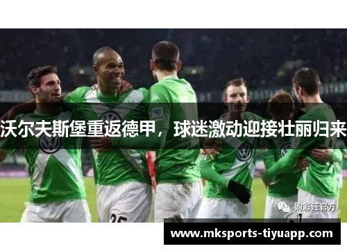沃尔夫斯堡重返德甲，球迷激动迎接壮丽归来