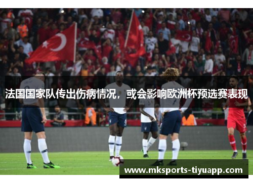 法国国家队传出伤病情况，或会影响欧洲杯预选赛表现