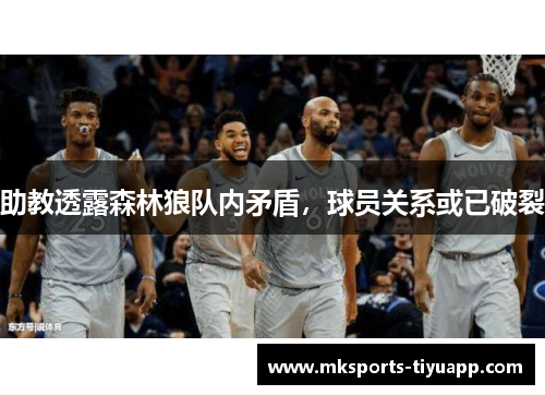 助教透露森林狼队内矛盾，球员关系或已破裂