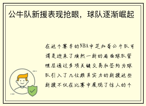 公牛队新援表现抢眼，球队逐渐崛起