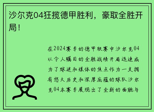 沙尔克04狂揽德甲胜利，豪取全胜开局！