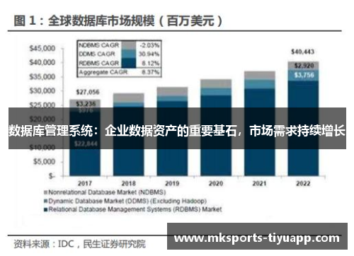 数据库管理系统：企业数据资产的重要基石，市场需求持续增长