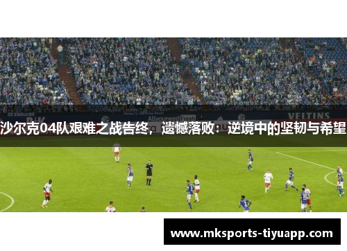 沙尔克04队艰难之战告终，遗憾落败：逆境中的坚韧与希望