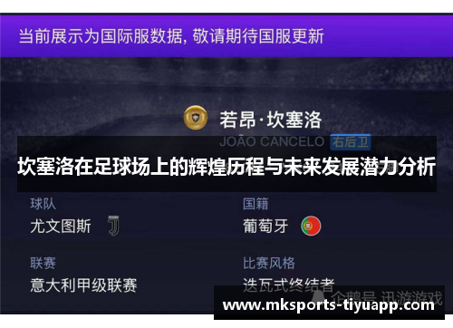坎塞洛在足球场上的辉煌历程与未来发展潜力分析